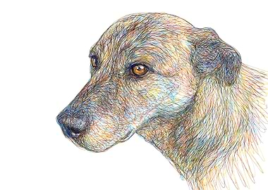 Dog Portrait Scribble Art