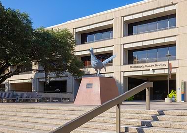 UTSA Roadrunner Statue at Multidisciplinary Studies building