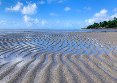 Tropical Beach with Sand Ripples in Maragogi