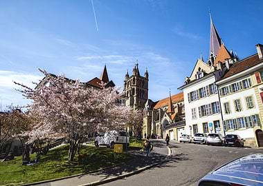 Lausanne Cathedral and Cherry Blossoms