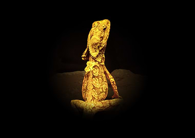 Golden Lizard on Dark Background