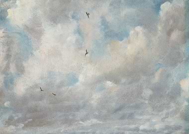 Cloudscape Painting with Birds