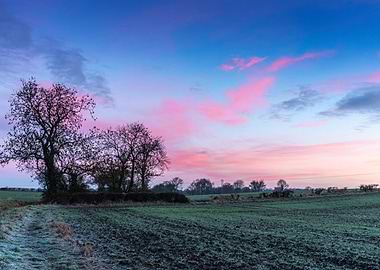 Pink Sunrise Over a Field