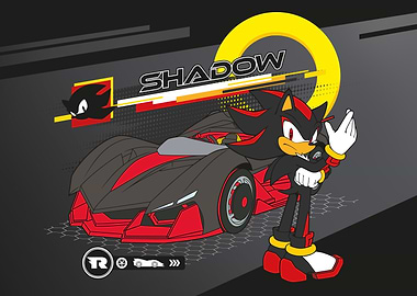 Shadow the Hedgehog: Race Ready