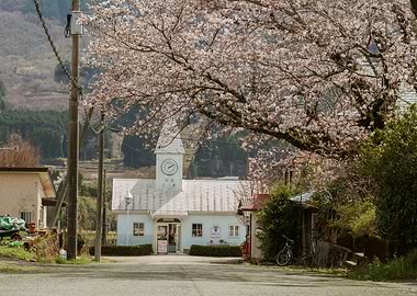 Japanese Cherry Blossom Station