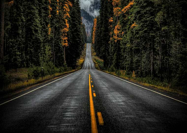 Road through forest in autumn
