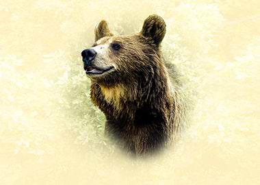 Brown Bear Portrait