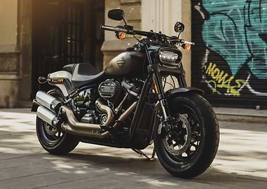 Harley-Davidson Motorcycle on Urban Street