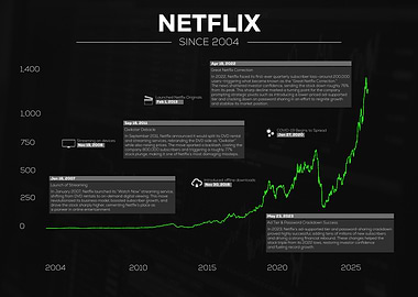 Netflix Stock Performance Since 2004
