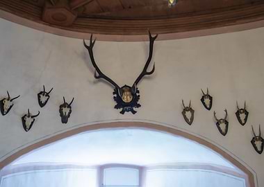 Wall with Deer Antlers and Skulls
