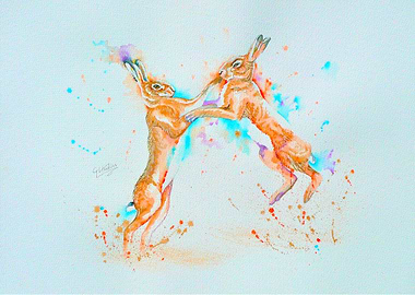 Boxing Hares Watercolor Painting