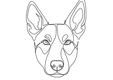 Dog Portrait Line Art