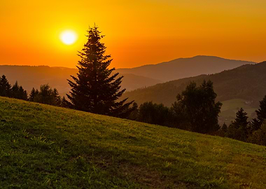 Sunset over Mountain Landscape with Tree