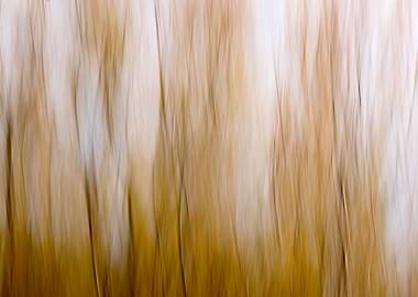 Abstract Blurred Vertical Lines