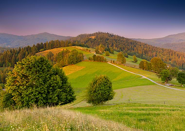 Green Hills Landscape at Sunset, Beskid Mountains