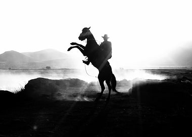 Cowboy on Rearing Horse Silhouette