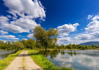 Scenic Path by Lake Under Blue Sky, Poland