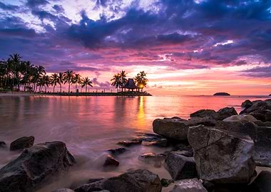tropical sunset beach with palm trees