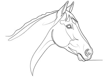 Horse Head Line Art