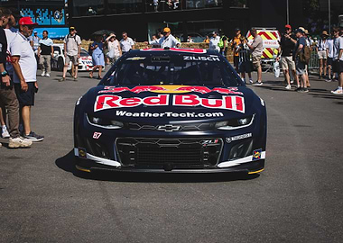 Red Bull NASCAR (Mad Mike) Front View