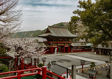 Japanese Temple with Cherry Blossoms