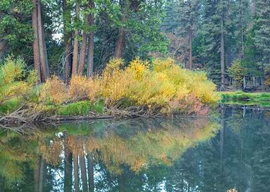 Autumnal Reflections on Calm Lake