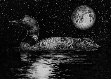 Loon By Moonlight