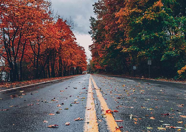 Autumn Road with Colorful Trees