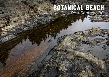 Botanical Beach, Port Renfrew, BC