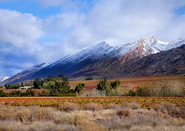 Autumn in The Hex River Valley