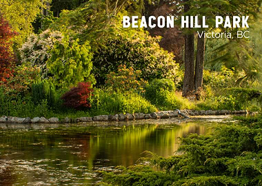 Beacon Hill Park, Victoria BC