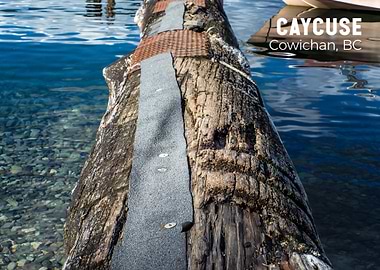 Caycuse Log in Cowichan, BC