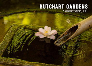 Butchart Gardens Water Feature