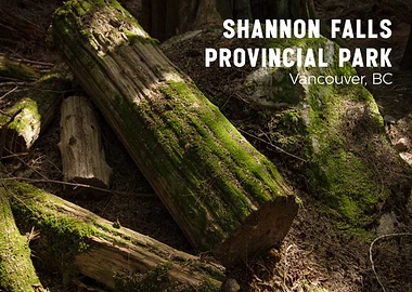 Shannon Falls Provincial Park Logs