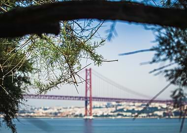 Red Bridge Through the Trees