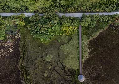 Aerial View of Tropical Landscape