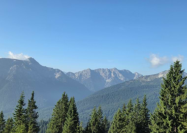 Mountain Range with Evergreen Trees