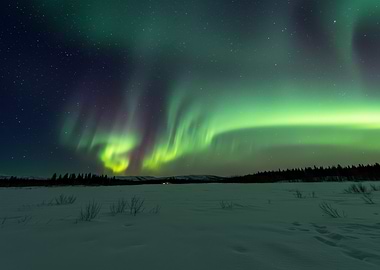 Aurora Borealis over Snowy Landscape