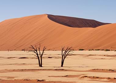Namib Desert Landscape