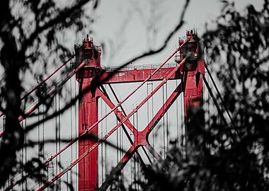 Red Bridge Through Trees