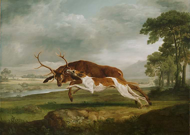 Stag Hunt Painting