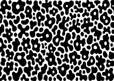 Abstract Black and White Pattern