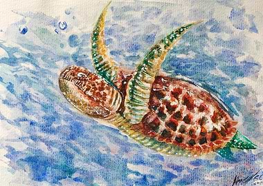 Watercolor Sea Turtle Swimming