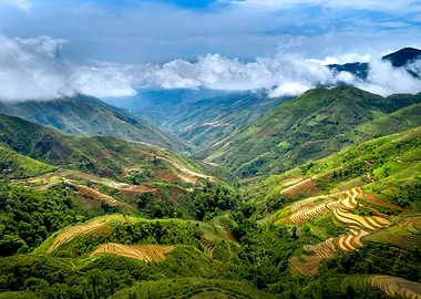 Lush Green Mountain Terraces