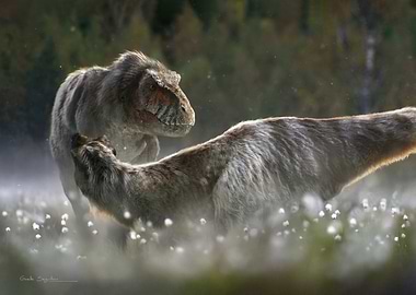 Nanuqsaurus mating display