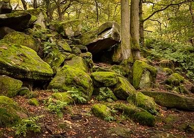 Padley Gorge Rocks