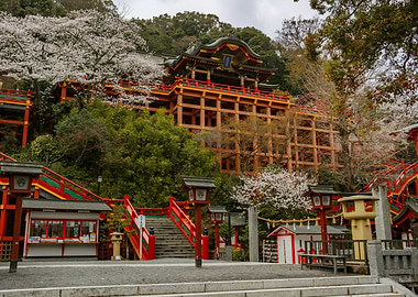 Japanese Temple with Cherry Blossoms