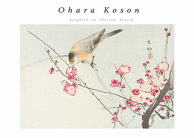 Ohara Koson: Songbird on Blossom Branch