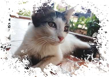 Cute Cat Portrait with Splatter Effect