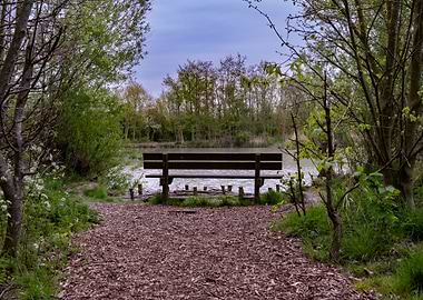 Bench by the Lake